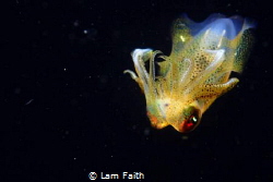 Angle from the heaven by Lam Faith 